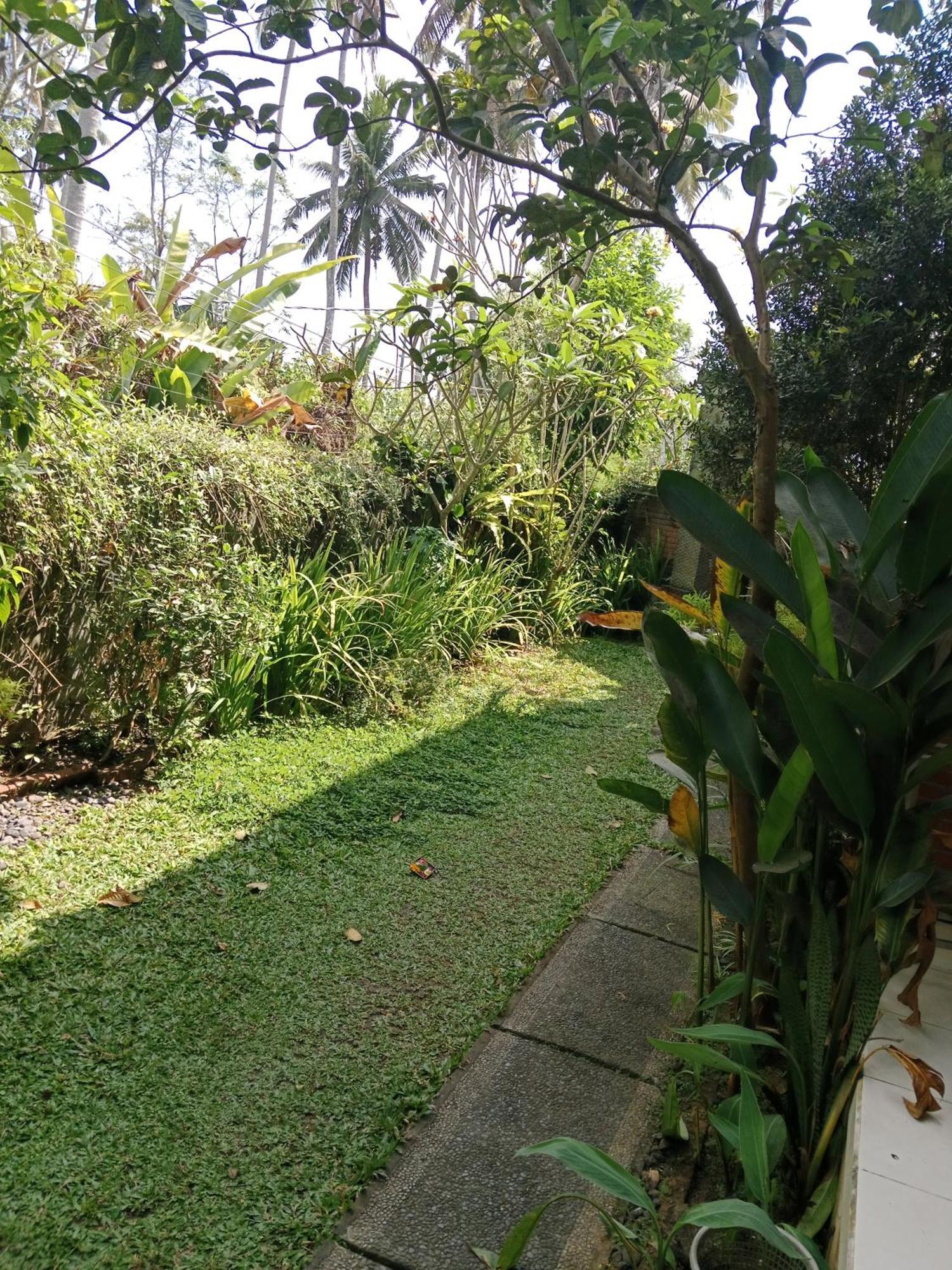 Sunrise Coconut House Hotel Ubud Exterior foto