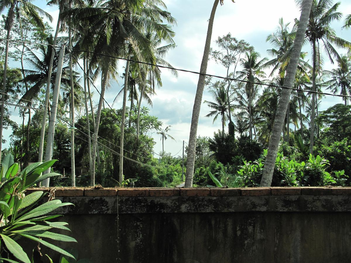 Sunrise Coconut House Hotel Ubud Exterior foto